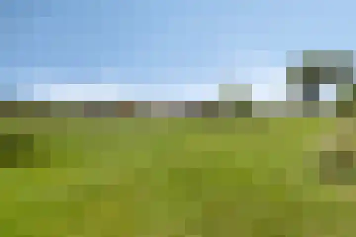 Leiweg 17 Geffen thumbnail 53