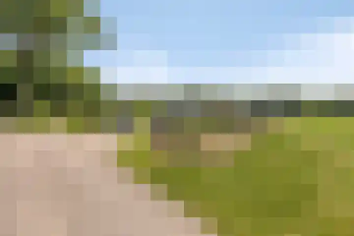 Leiweg 17 Geffen thumbnail 54