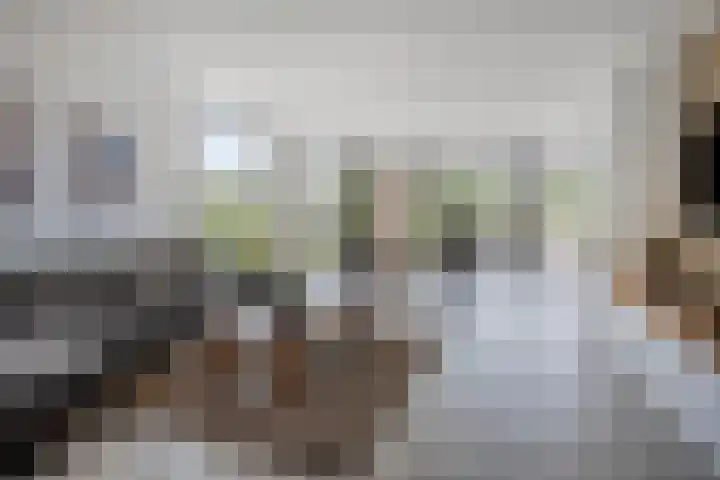 Leiweg 17 Geffen thumbnail 9