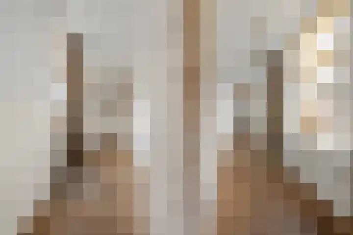 Lekdijk 12 Everdingen thumbnail 10