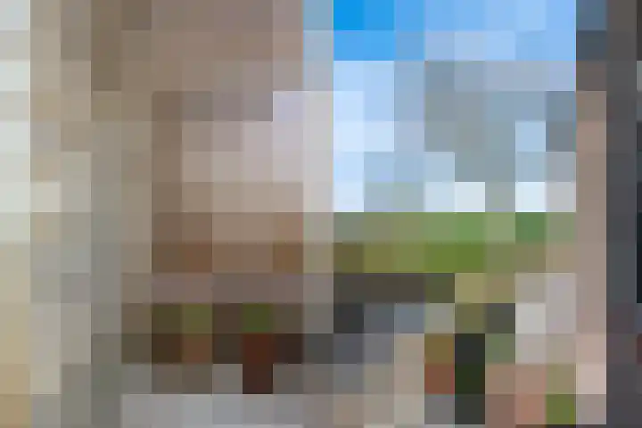 Lekdijk 12 Everdingen foto 2