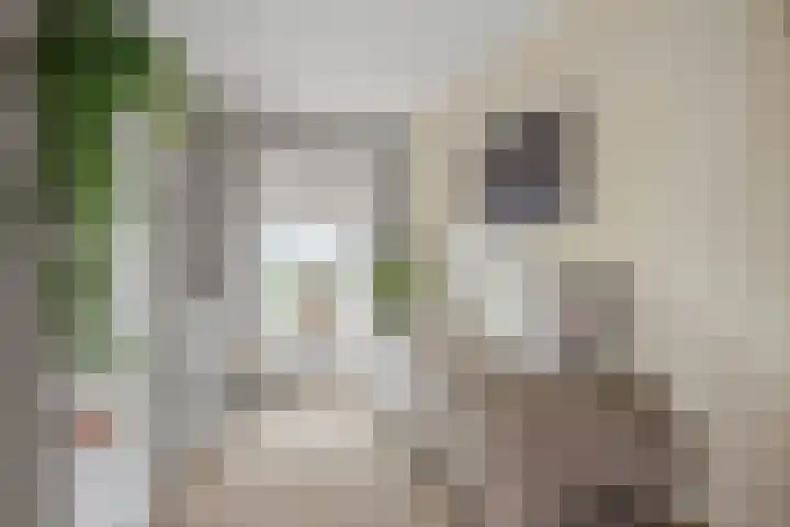 Lekdijk 12 Everdingen thumbnail 23