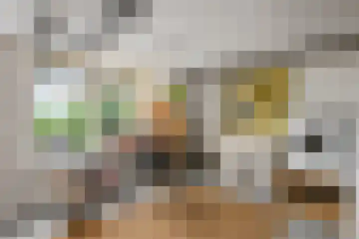 Lekdijk 12 Everdingen thumbnail 27