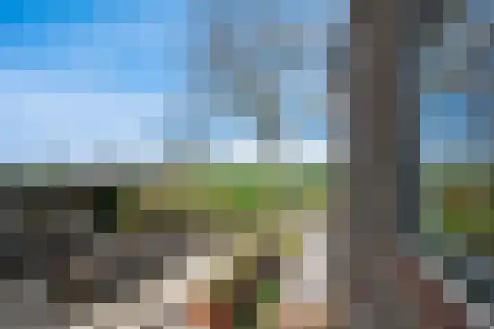 Lekdijk 12 Everdingen thumbnail 29