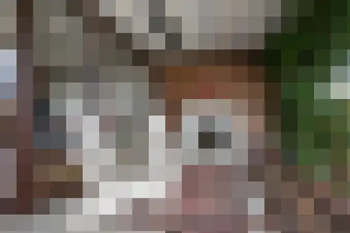 Lekdijk 12 Everdingen thumbnail 35