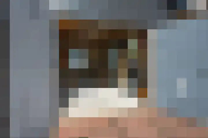 Lekdijk 12 Everdingen thumbnail 36