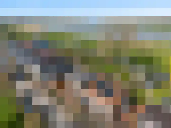 Lekdijk 12 Everdingen thumbnail 44