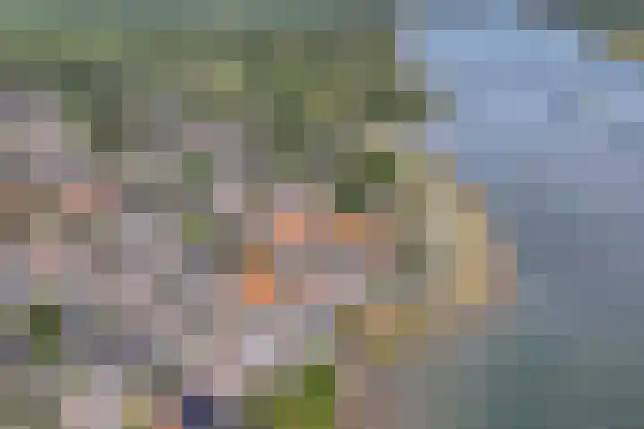 Lekdijk 158 Ammerstol thumbnail 21