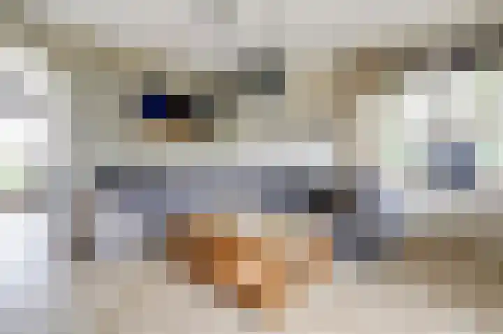Lekdijk 3 Langerak thumbnail 12