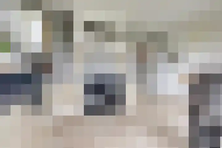 Lekdijk 3 Langerak thumbnail 13