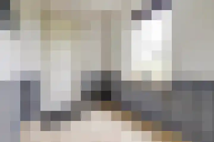 Lekdijk 3 Langerak thumbnail 17