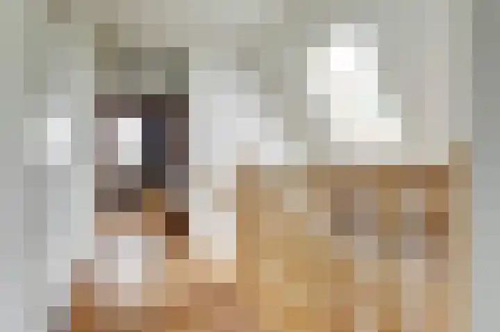 Lekdijk 3 Langerak thumbnail 23
