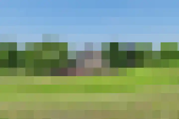 Lekdijk 3 Langerak thumbnail 37