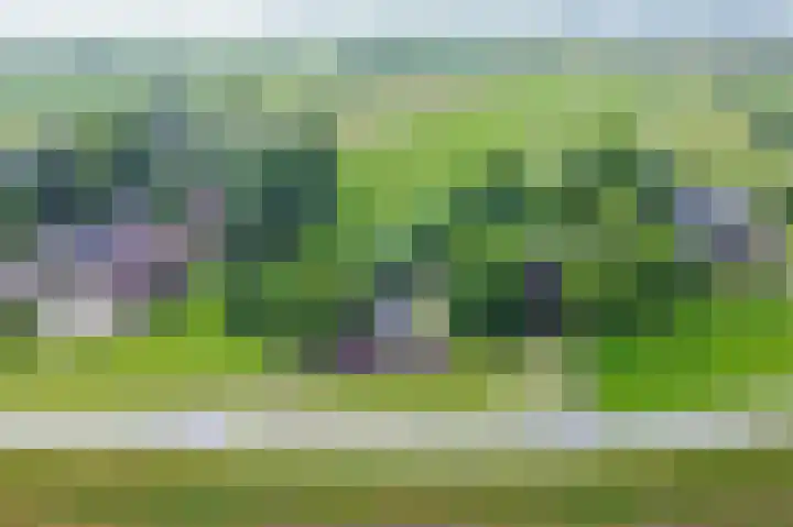 Lekdijk 3 Langerak thumbnail 46