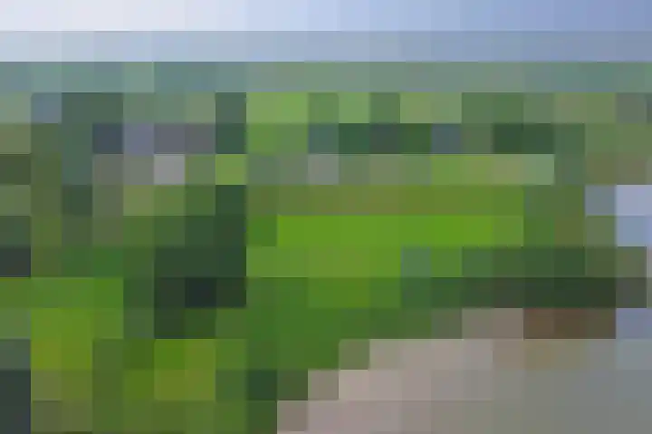 Lekdijk 3 Langerak thumbnail 47