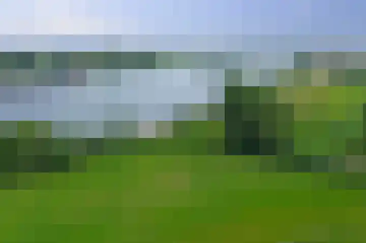 Lekdijk 3 Langerak thumbnail 48