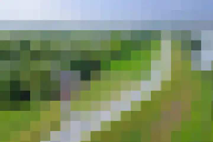 Lekdijk 3 Langerak thumbnail 50