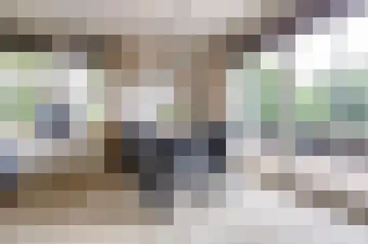 Lekdijk 3 Langerak thumbnail 6