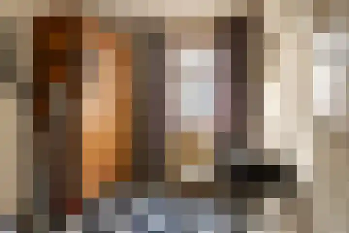 Lekdijk 33 Ameide thumbnail 32