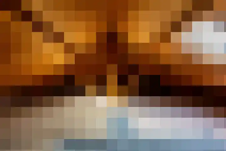 Lekdijk 33 Ameide thumbnail 37