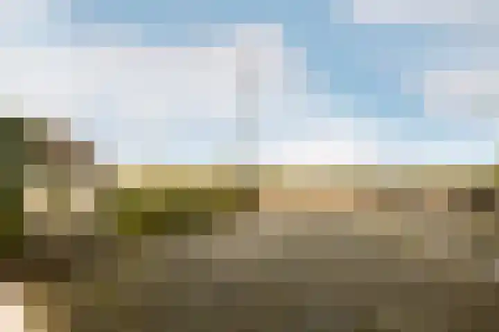 Lekdijk 33 Ameide thumbnail 46