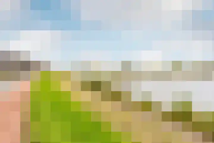 Lekdijk 33 Ameide thumbnail 54