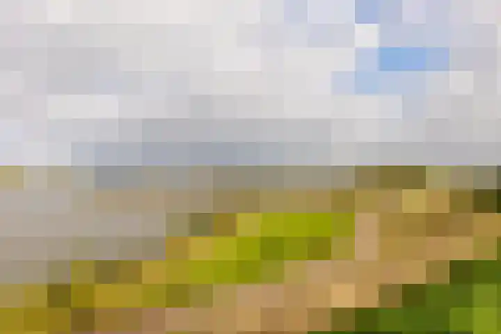 Lekdijk 33 Ameide thumbnail 56