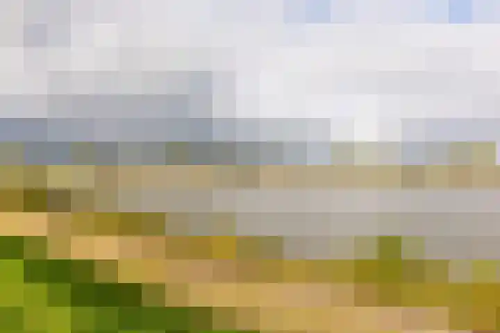 Lekdijk 33 Ameide thumbnail 57