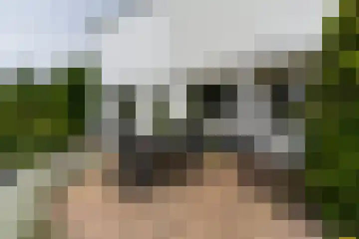 Lekdijk 44 Hagestein thumbnail 32
