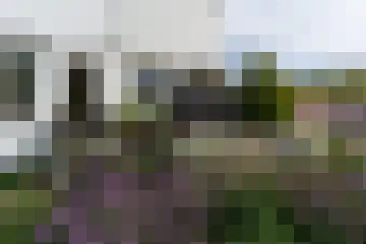 Lekdijk 44 Hagestein thumbnail 38
