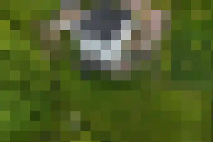 Lekdijk 44 Hagestein thumbnail 42