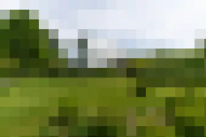 Lekdijk 44 Hagestein thumbnail 54