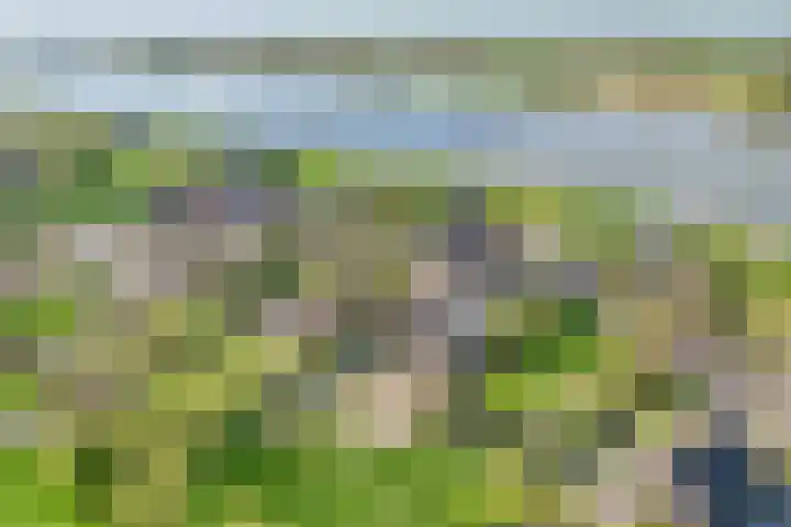 Lekdijk 53 Langerak thumbnail 36