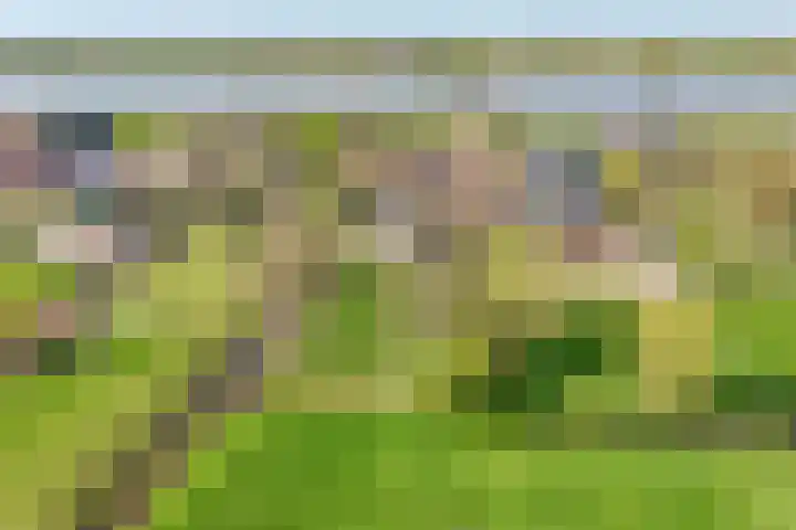 Lekdijk 53 Langerak thumbnail 37