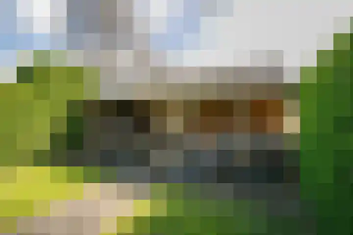 Lekdijk 53 Langerak thumbnail 41