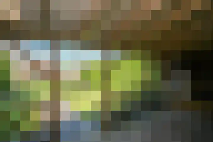 Lekdijk 53 Langerak thumbnail 42