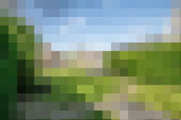 Lekdijk 53 Langerak thumbnail 43