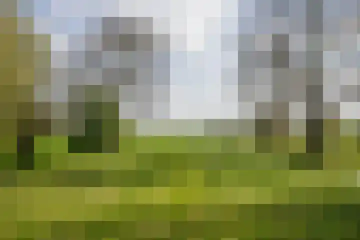 Lekdijk 53 Langerak thumbnail 47