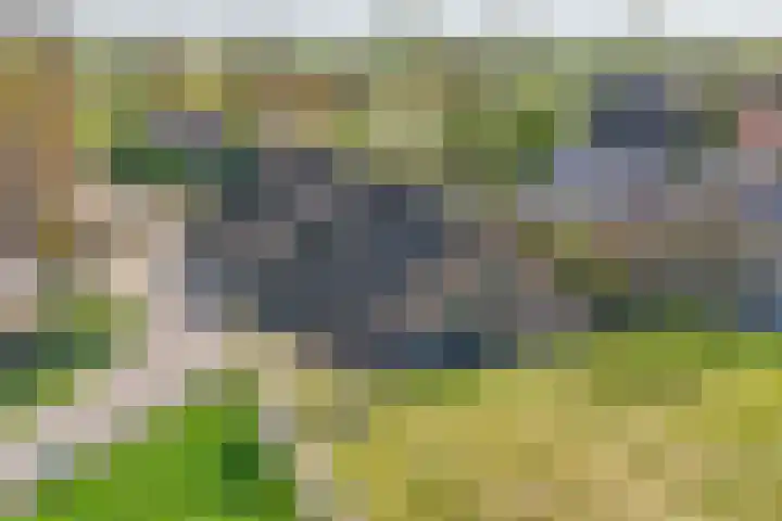 Lekdijk 53 Langerak thumbnail 5
