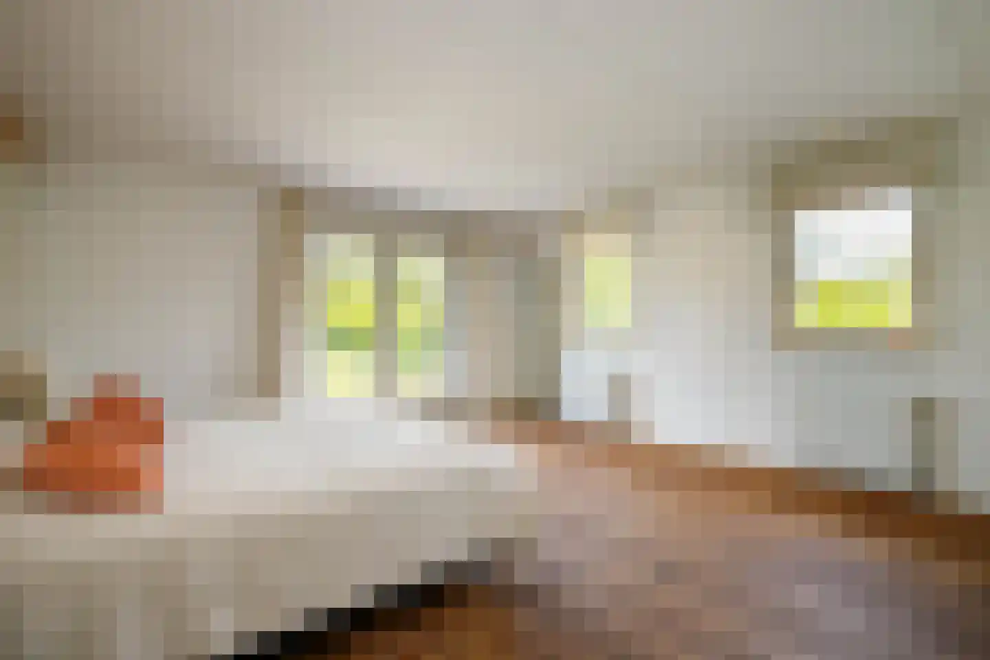 Lekdijk west 80 Lopik thumbnail 18