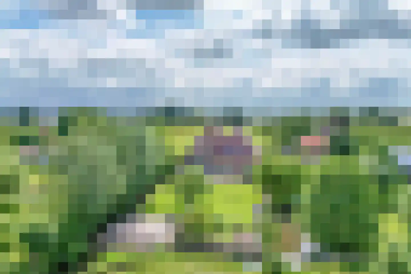 Lekdijk west 80 Lopik thumbnail 35