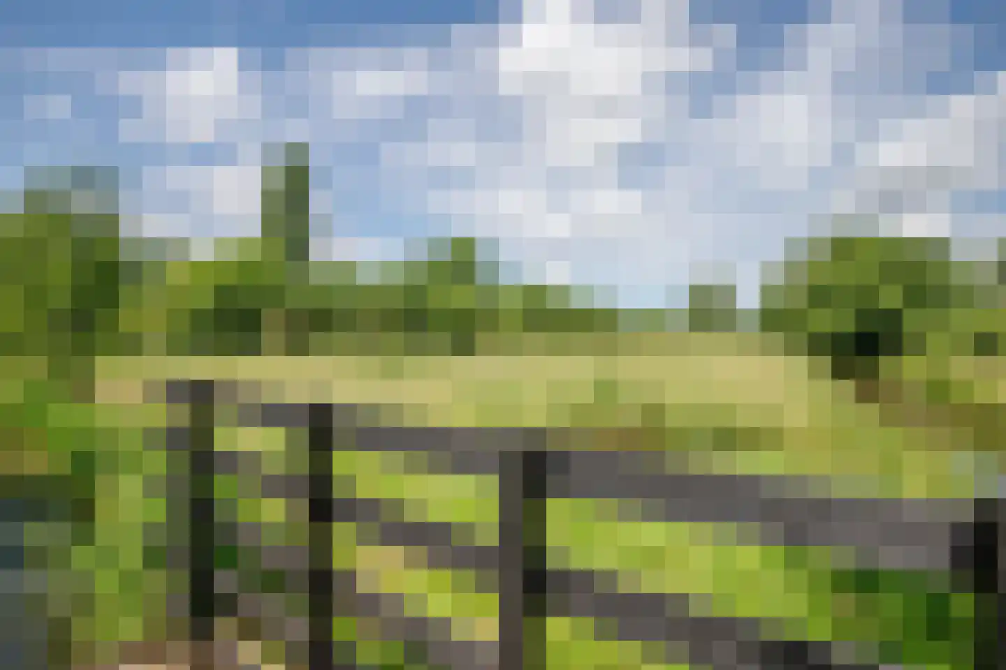 Lekdijk west 80 Lopik thumbnail 44