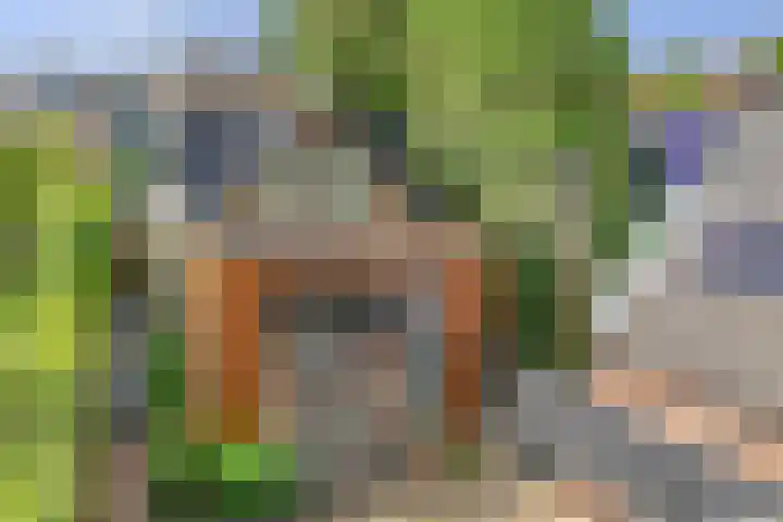 Lekdijksteeg 13 in Lekkerkerk
