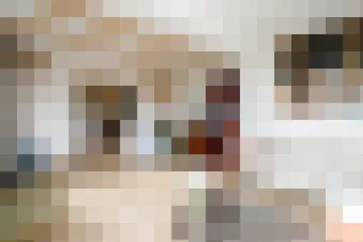 Lekdijksteeg 13 Lekkerkerk thumbnail 11