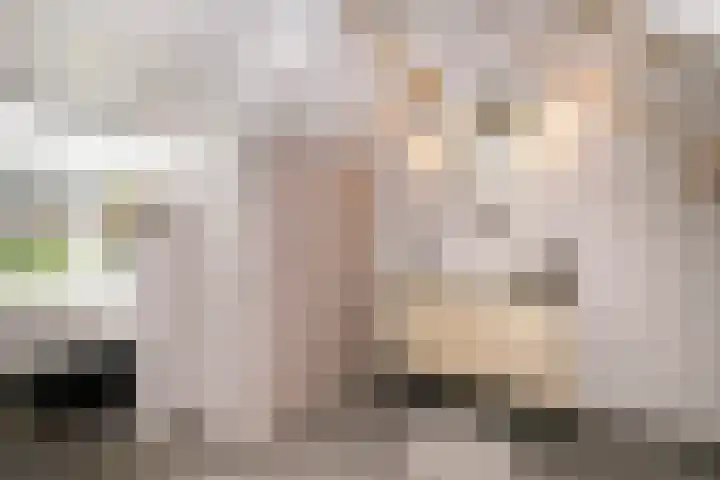 Lekdijksteeg 13 Lekkerkerk thumbnail 27