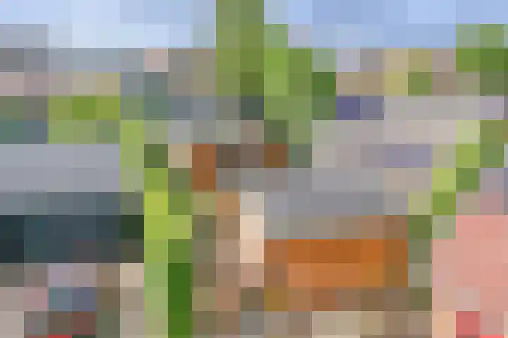Lekdijksteeg 13 Lekkerkerk thumbnail 31