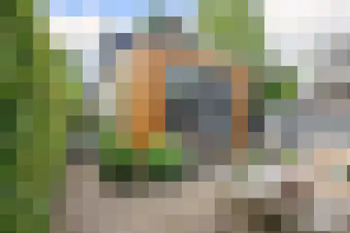 Lekdijksteeg 13 Lekkerkerk thumbnail 32