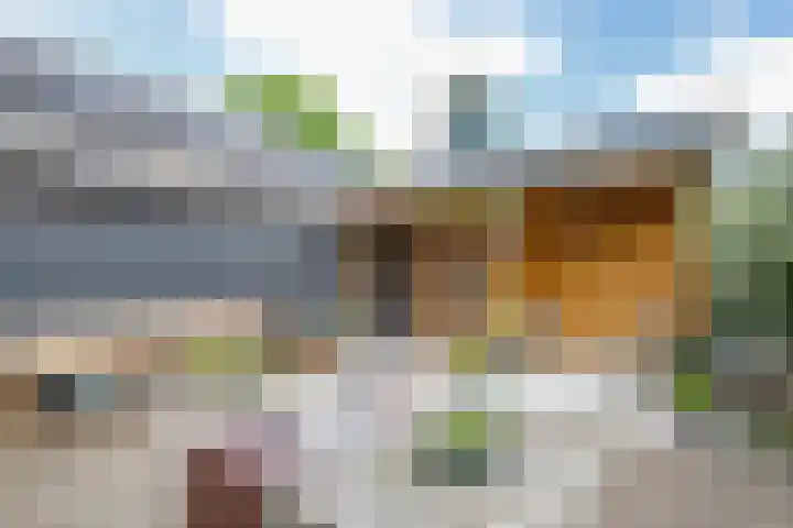 Lekdijksteeg 13 Lekkerkerk thumbnail 34