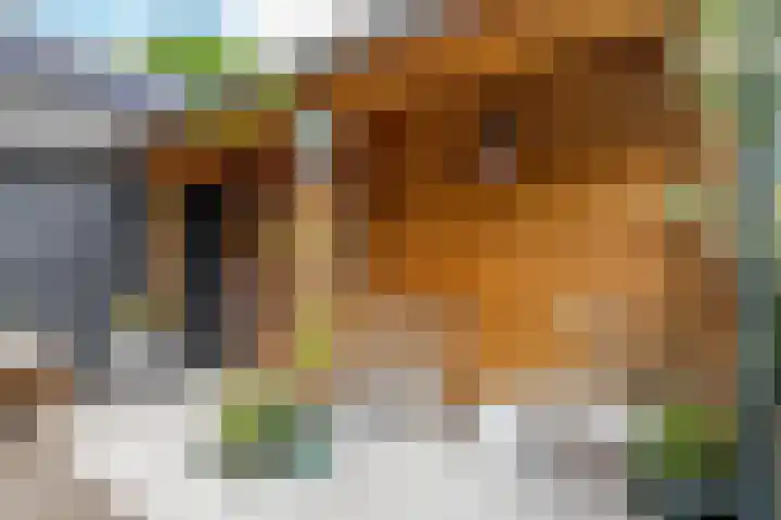Lekdijksteeg 13 Lekkerkerk thumbnail 35