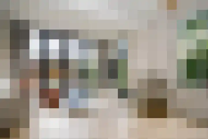 Lekdijksteeg 13 Lekkerkerk thumbnail 4